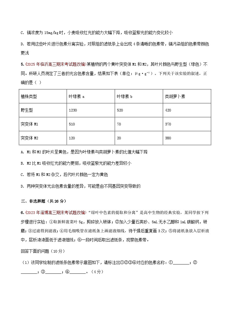 专题05 光合作用(期末备考试题)(原卷版)第3页