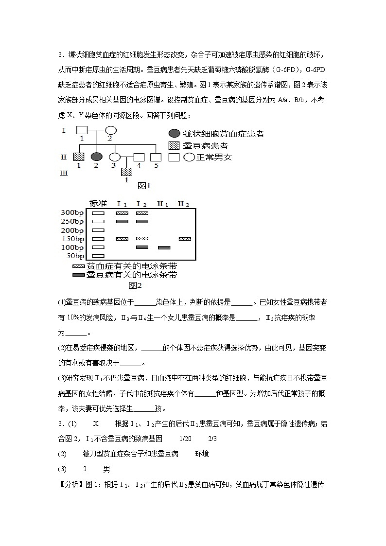 3第1页