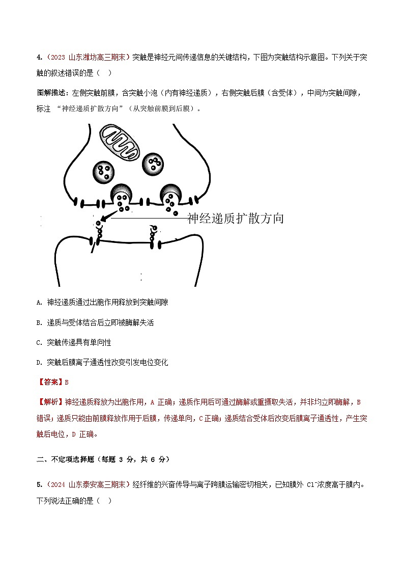 专题16 神经调节(期末备考试题)(解析版)第3页