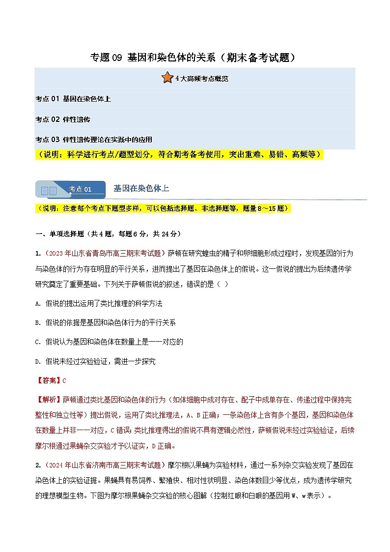 专题09 基因和染色体的关系(期末备考试题)(解析版)第1页