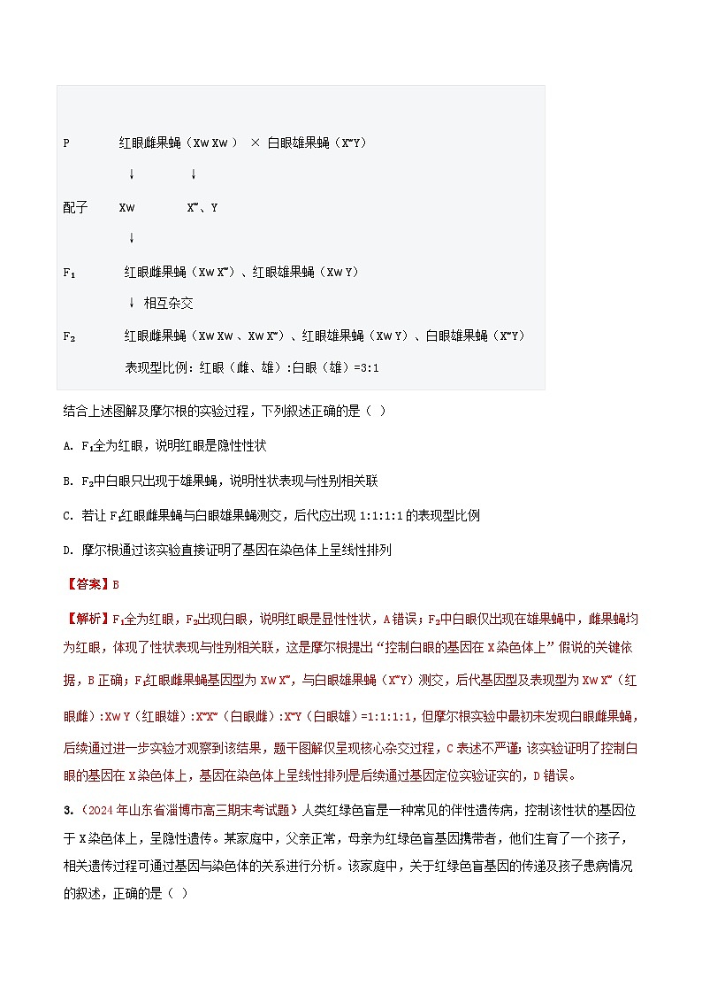 专题09 基因和染色体的关系(期末备考试题)(解析版)第2页