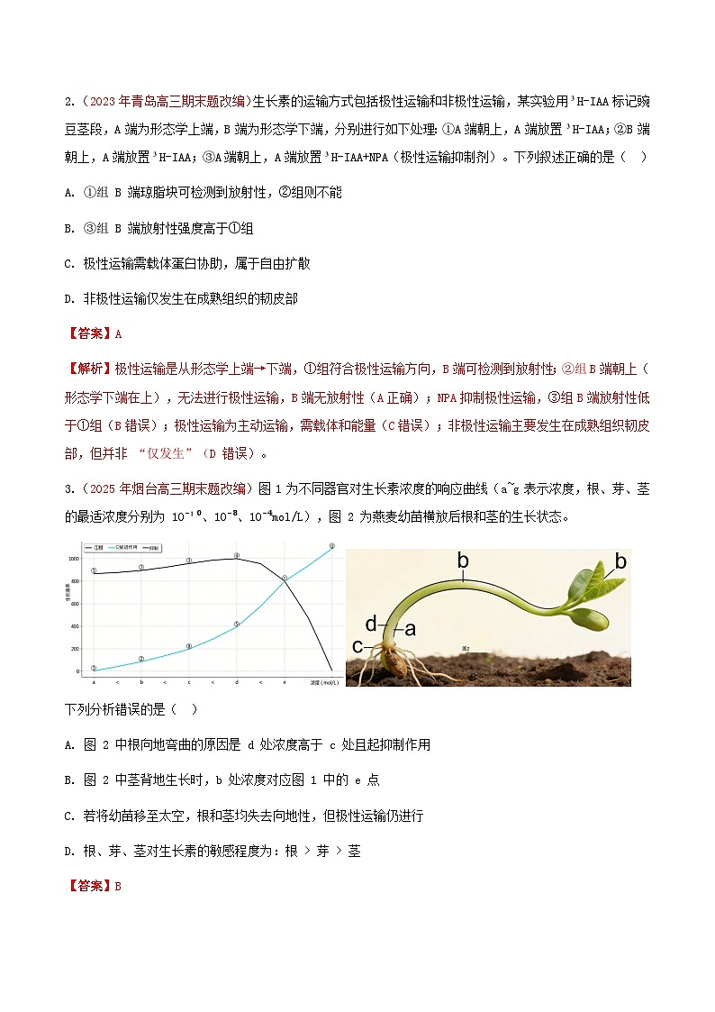 专题19 植物生命活动的调节(期末备考试题)(解析版)第2页