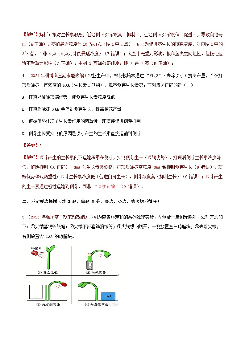 专题19 植物生命活动的调节(期末备考试题)(解析版)第3页
