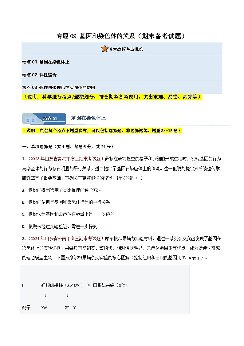 专题09 基因和染色体的关系(期末备考试题)(原卷版)第1页