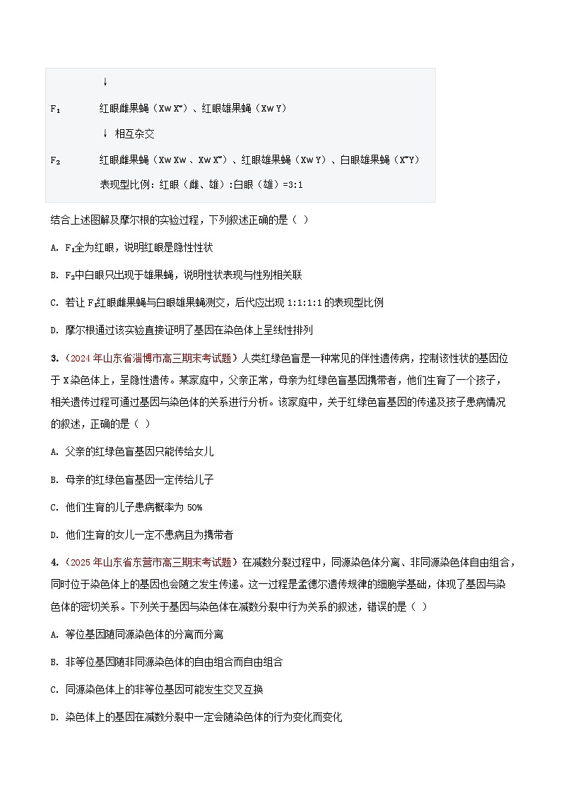 专题09 基因和染色体的关系(期末备考试题)(原卷版)第2页