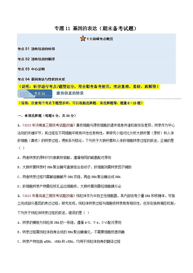 专题11 基因的表达(期末备考试题)(原卷版)第1页
