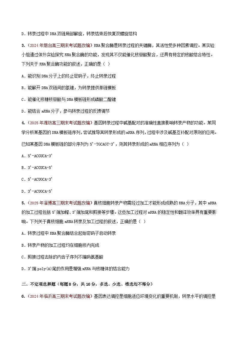 专题11 基因的表达(期末备考试题)(原卷版)第2页