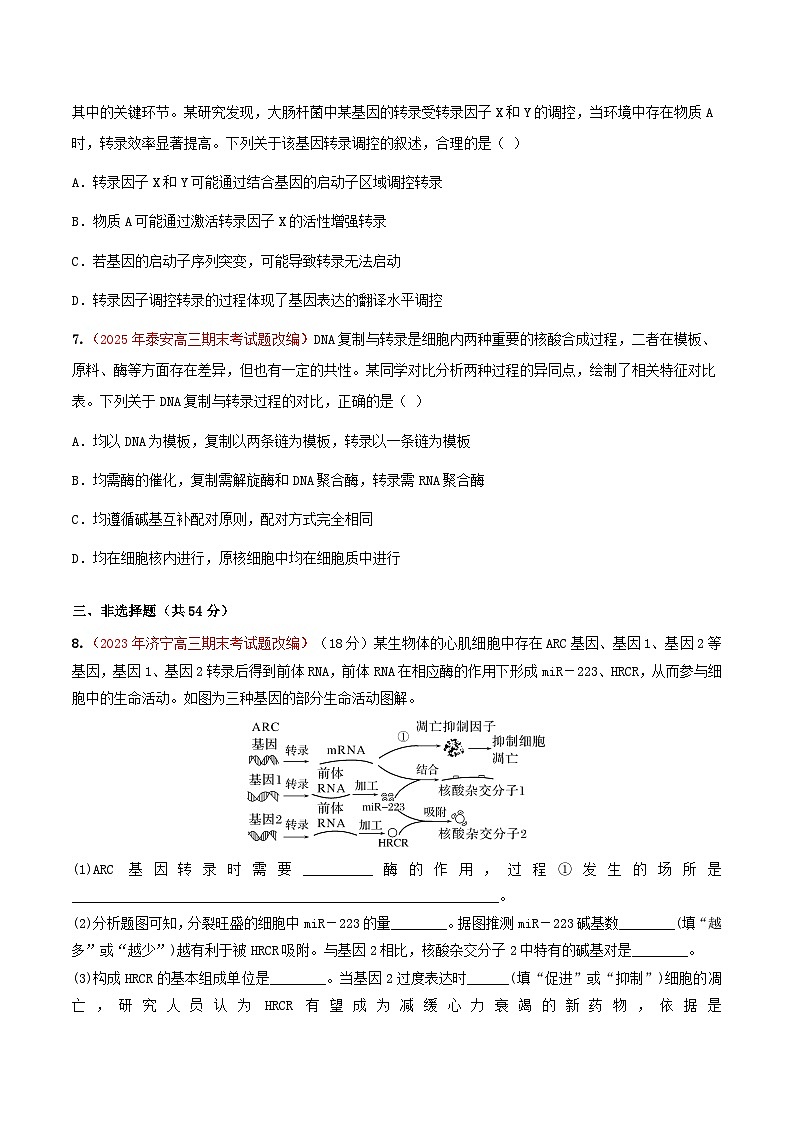 专题11 基因的表达(期末备考试题)(原卷版)第3页