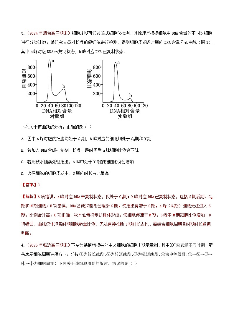 专题06 细胞的生命历程(包括减数分裂)(期末备考试题)(解析版)第3页