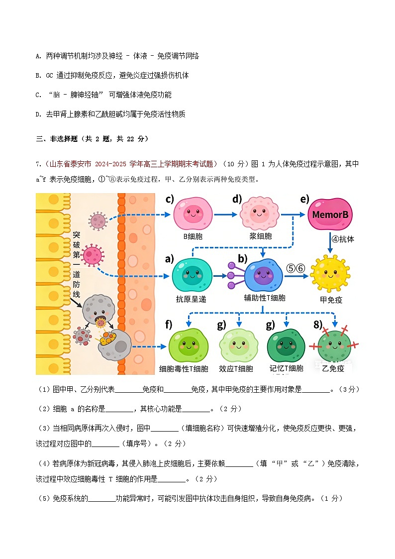 专题18 免疫调节(期末备考试题)(原卷版)第3页