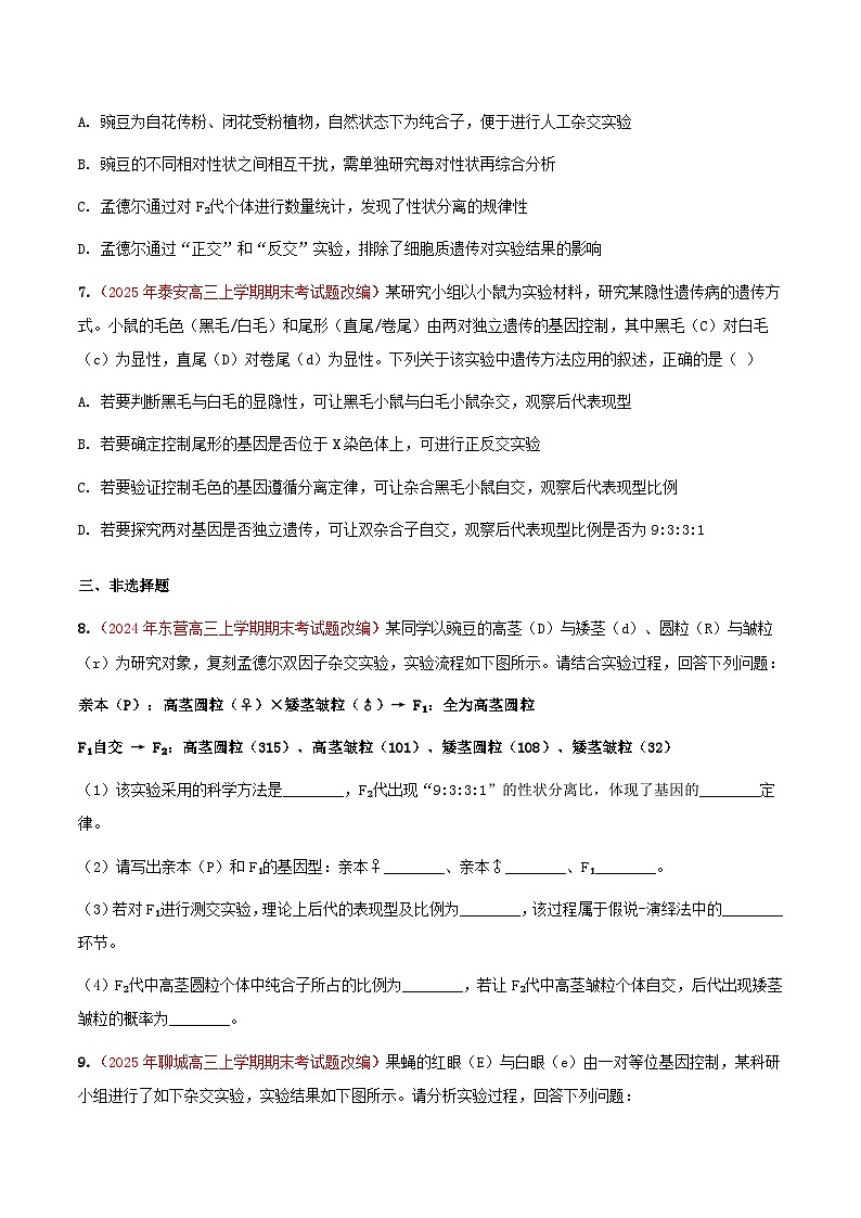 专题07 基因的分离定律(期末备考试题)(原卷版)第3页