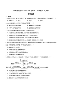 山西省太原市2025-2026学年高二上学期期中考试生物试题（Word版附答案）