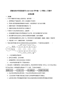 福建省泉州市四校联考2025-2026学年高一上学期11月期中考试生物试题（Word版附答案）