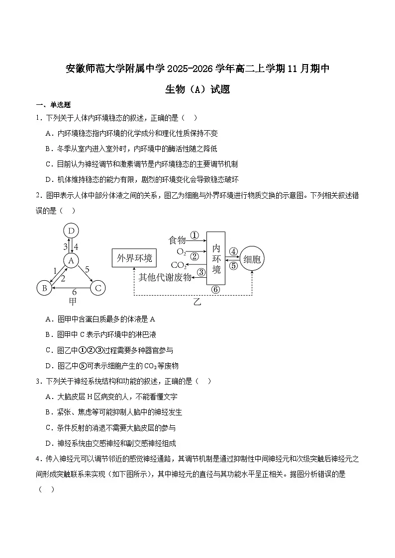 安徽师范大学附属中学2025-2026学年高二上学期期中考试生物(A卷)试题(Word版附答案)第1页
