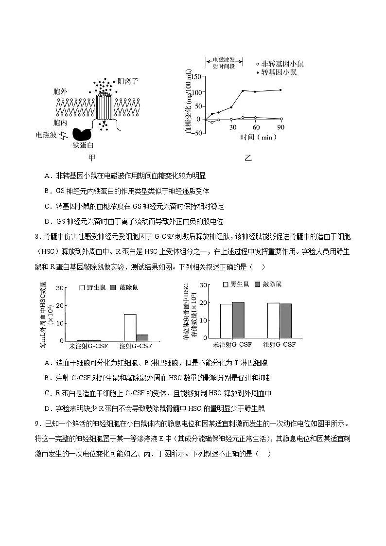 安徽师范大学附属中学2025-2026学年高二上学期期中考试生物(A卷)试题(Word版附答案)第3页