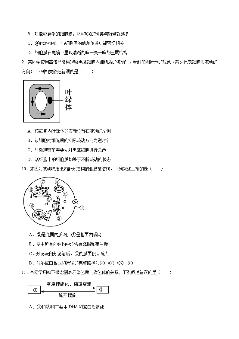 河北省邯郸市五校2025-2026学年高一上学期期中考试生物试题(Word版附答案)第3页