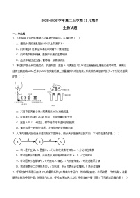 江苏省常州高级中学2025-2026学年高二上学期期中考试生物试题（Word版附答案）