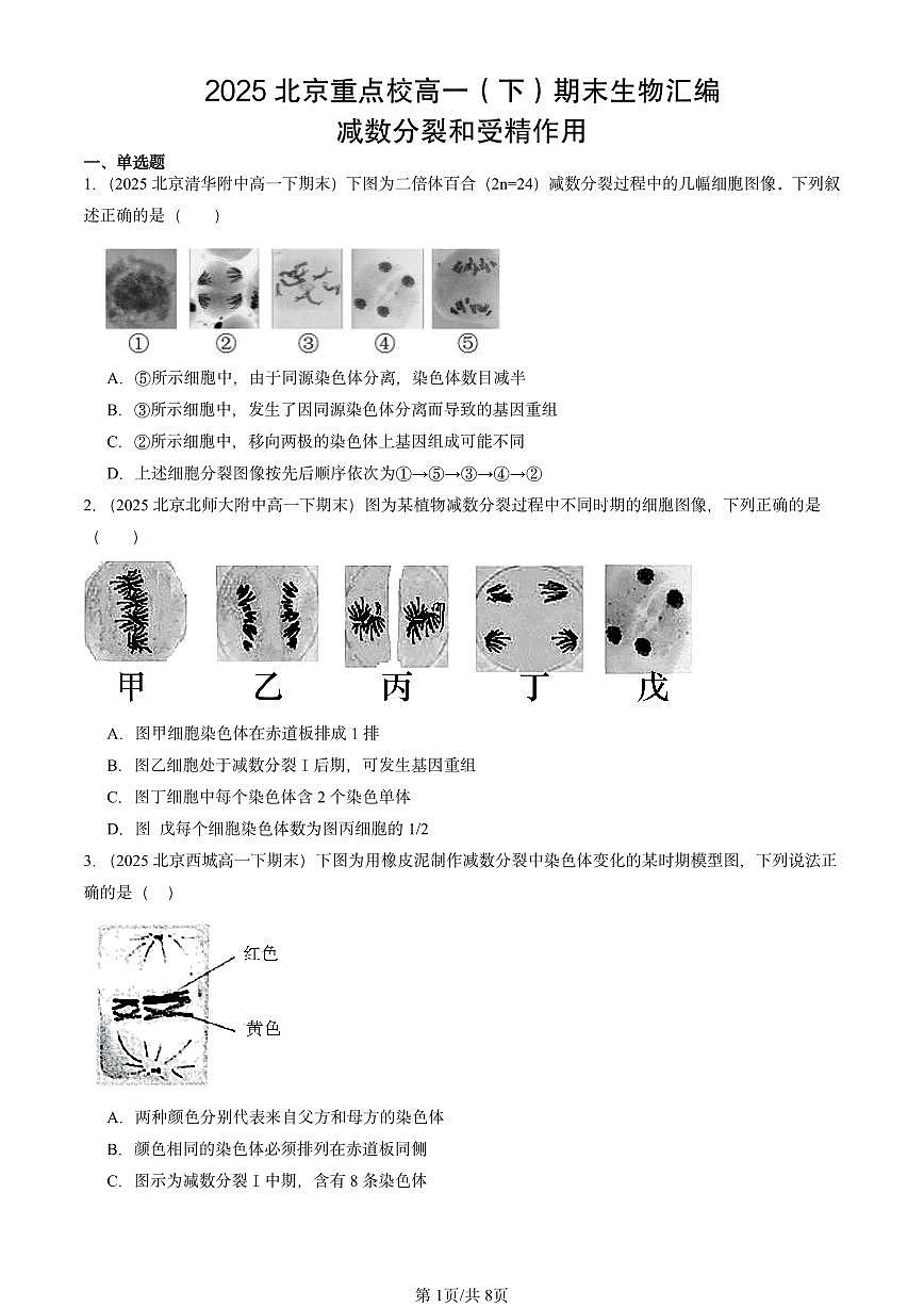 2025北京重点校高一(下)期末生物汇编:减数分裂和受精作用第1页