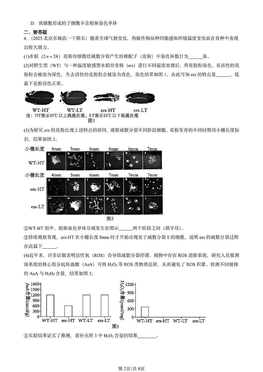 2025北京重点校高一(下)期末生物汇编:减数分裂和受精作用第2页