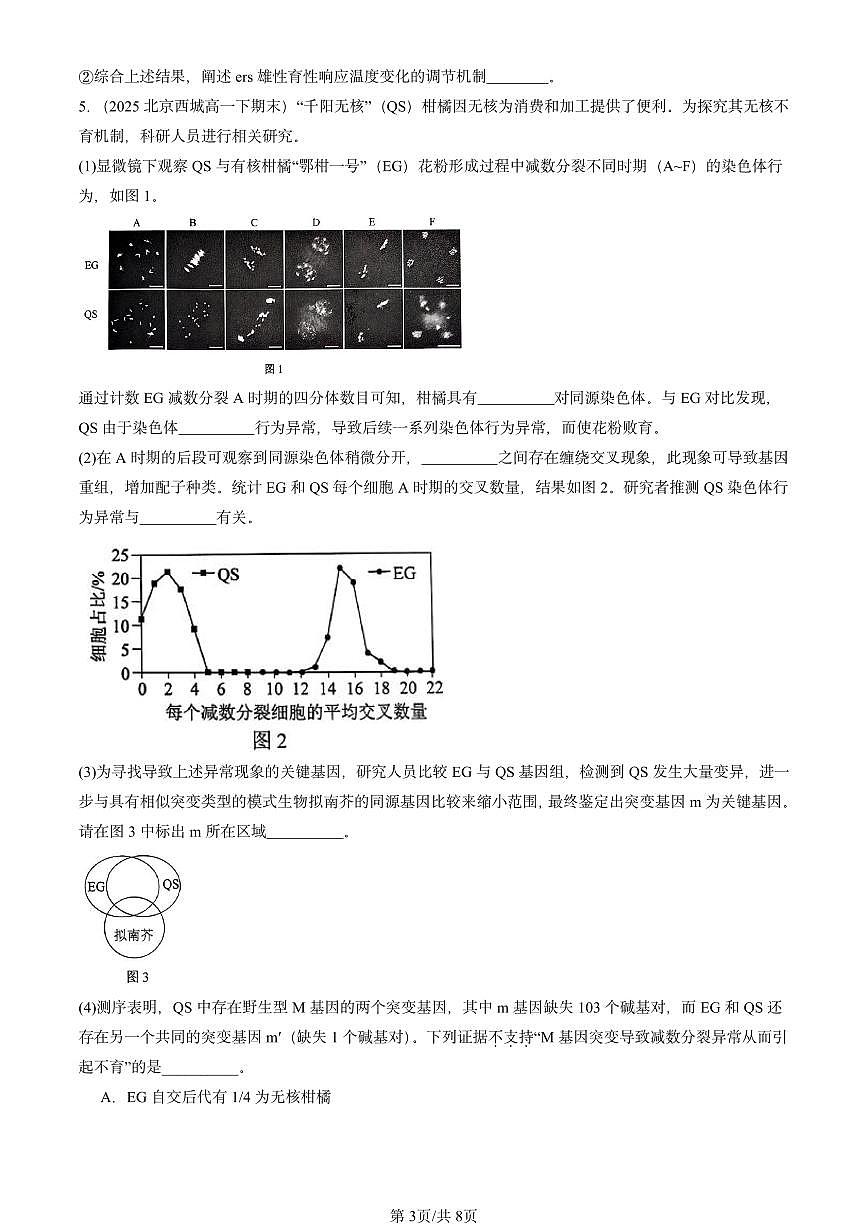 2025北京重点校高一(下)期末生物汇编:减数分裂和受精作用第3页