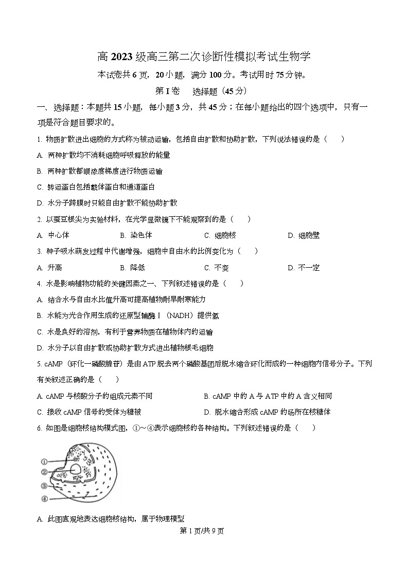 四川省泸州市合江县马街中学2026届高三二模生物试题(原卷版)第1页