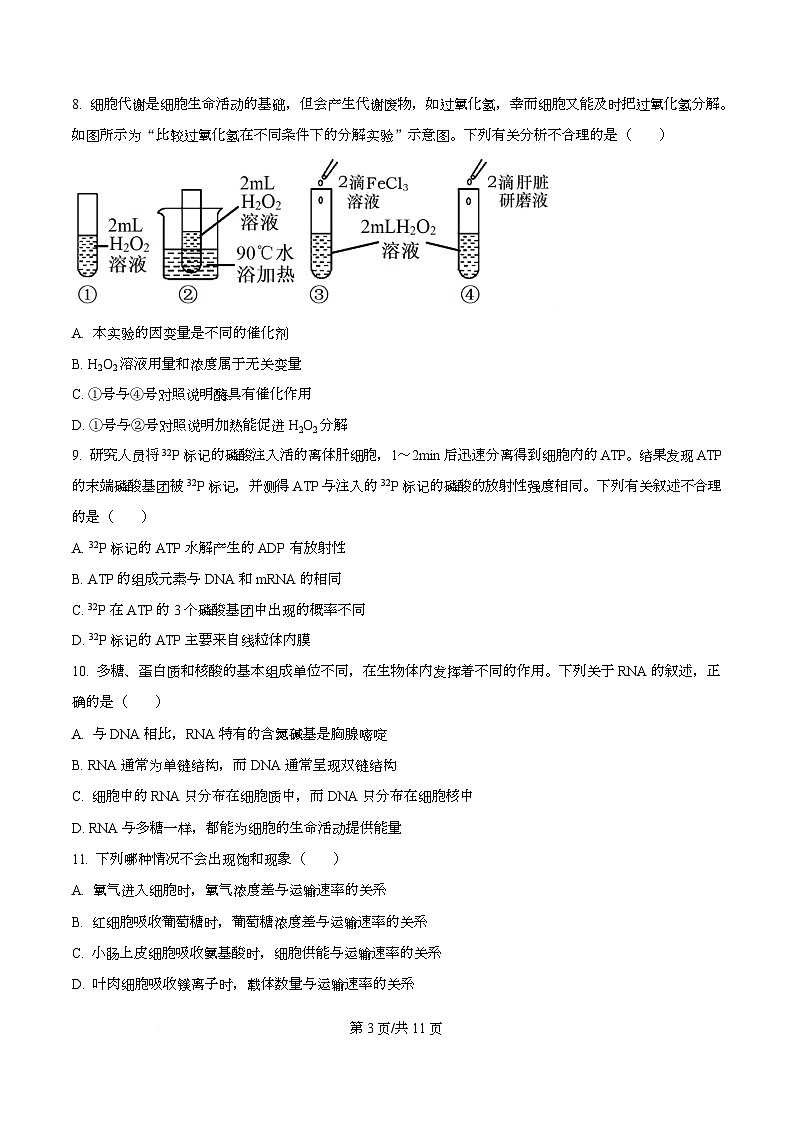 四川省内江市资中县第二中学2025-2026学年高一上学期12月月考生物试题(原卷版)第3页