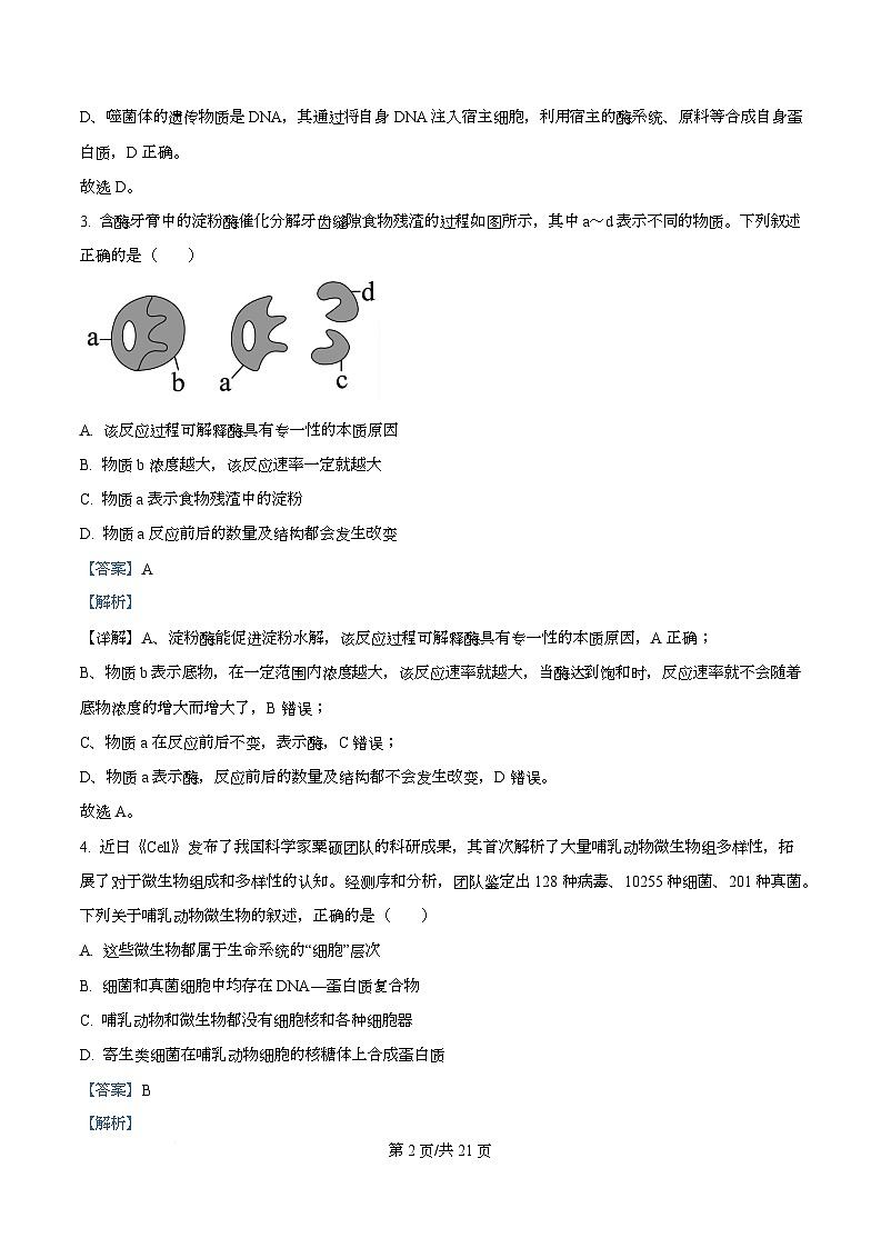 四川省内江市资中县第二中学2025-2026学年高一上学期12月月考生物试题 Word版含解析第2页
