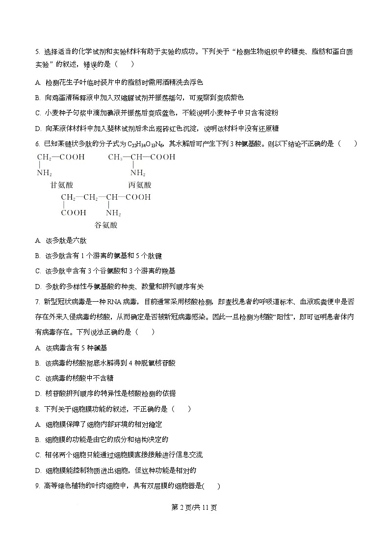 黑龙江省绥化市绥棱县第一中学2025-2026学年高一上学期12月月考生物试题第2页