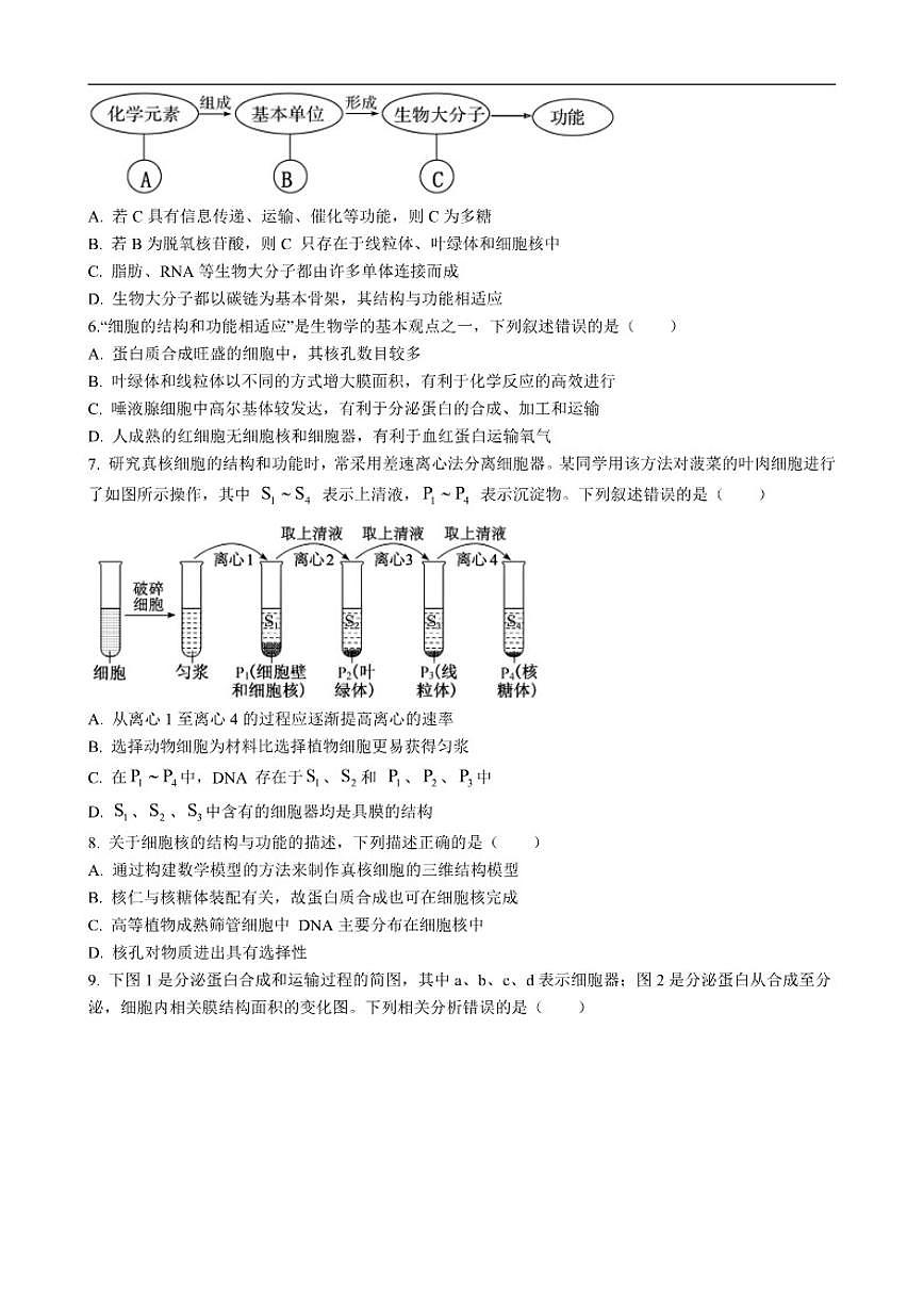 2025-2026学年河北省石家庄精英中学高一上学期第三次调研生物试卷(有答案)第2页