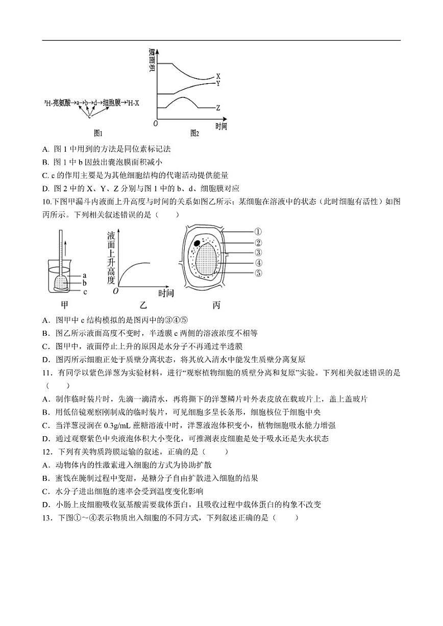 2025-2026学年河北省石家庄精英中学高一上学期第三次调研生物试卷(有答案)第3页