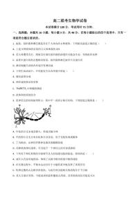 2025-2026学年贵州省部分学校高二上学期12月联考生物试卷（有答案）