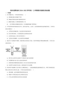 2024-2025学年贵州省黔南州高一上学期期末质量检测生物试卷（有答案）