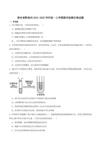 2024-2025学年贵州省黔南州高一上学期期末质量检测生物试卷（有答案）