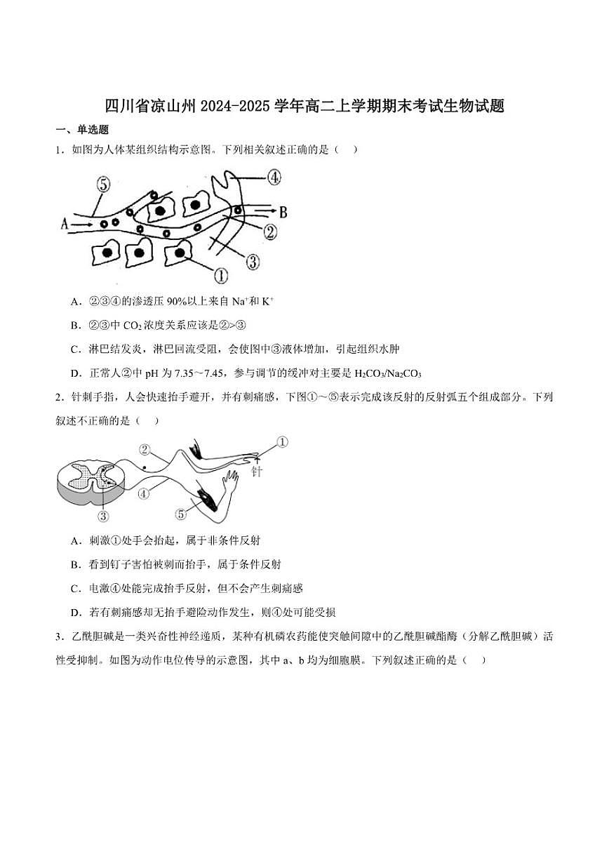 2024-2025学年四川省凉山州高二上学期期末考试生物试卷(有答案)第1页