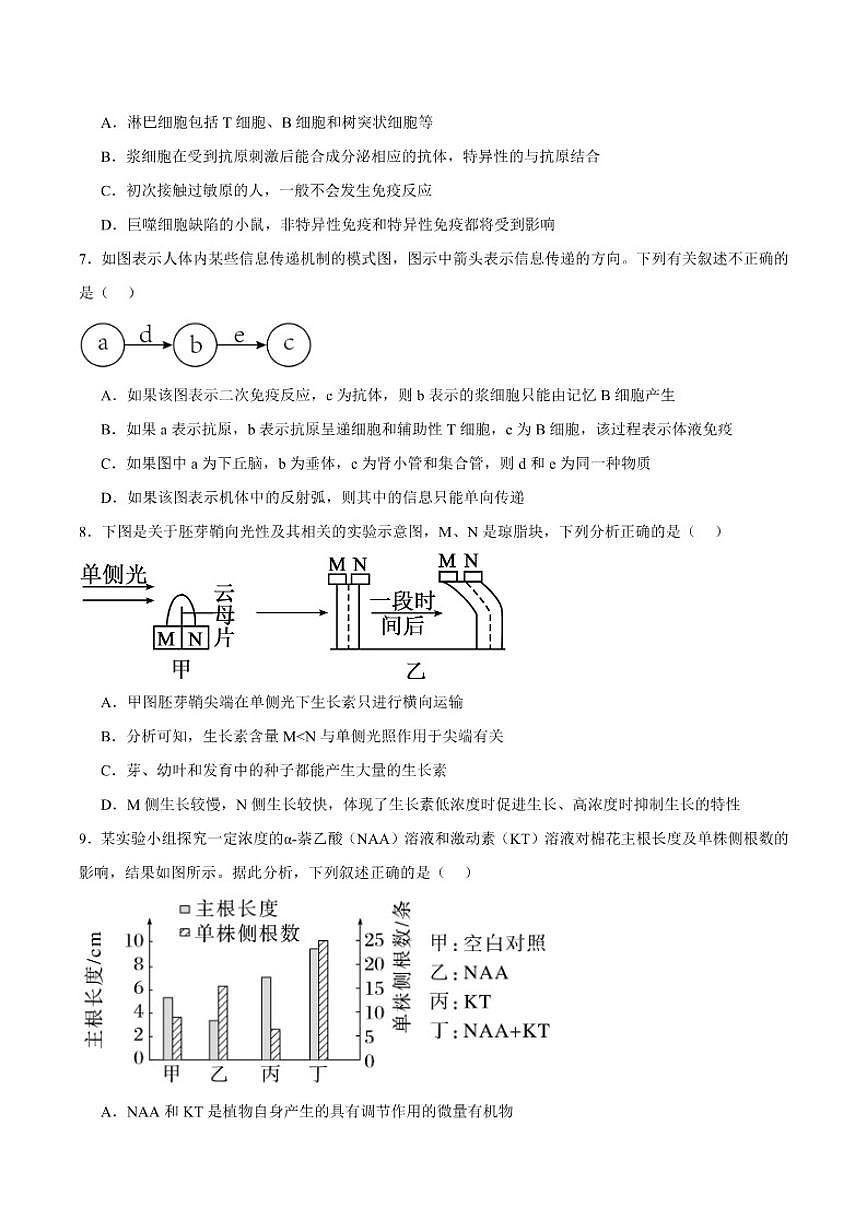 2024-2025学年四川省凉山州高二上学期期末考试生物试卷(有答案)第3页