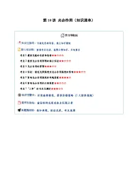 高考生物一轮-光合作用（知识清单）（全国通用）（解析版）