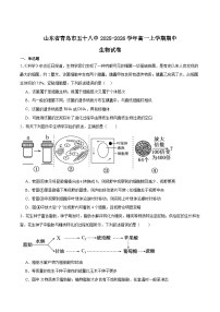 山东省青岛第五十八中学2025-2026学年高一上学期期中测试生物试卷（Word版附答案）