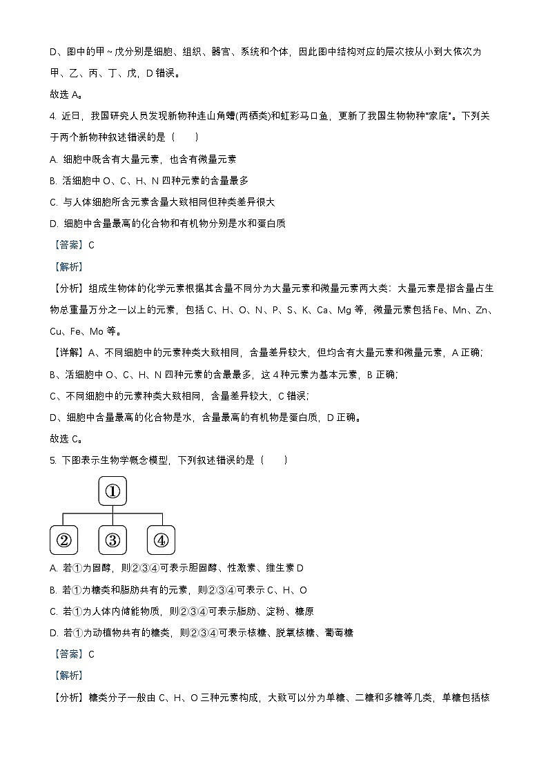 北京市丰台区2024_2025学年高一生物上学期期末试题含解析第3页
