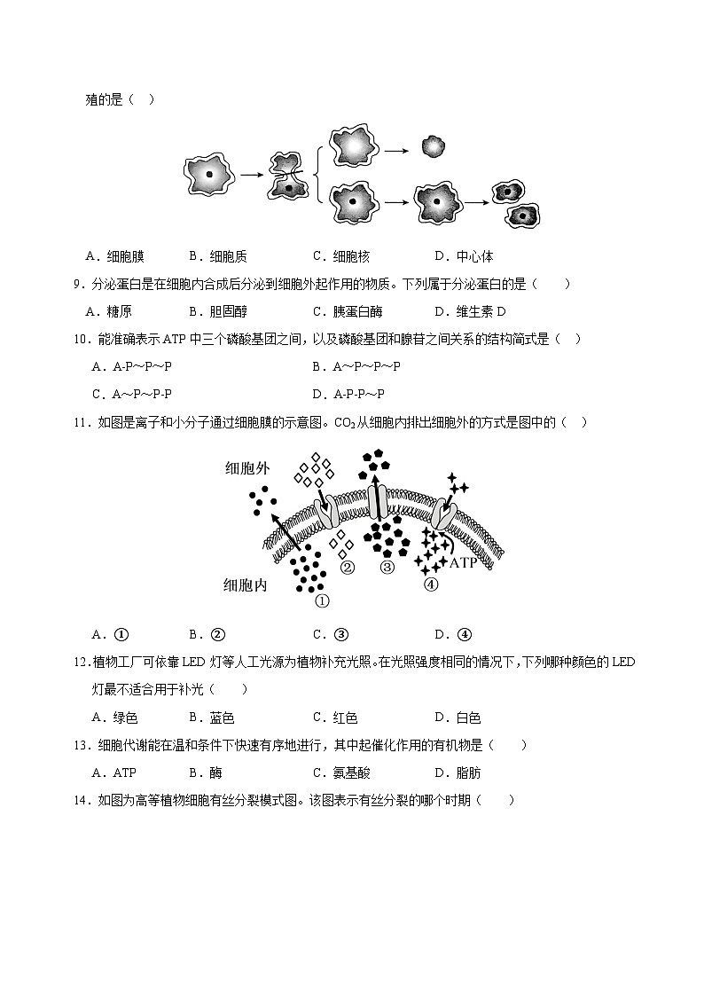 生物试题第2页