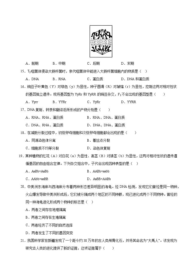 生物试题第3页