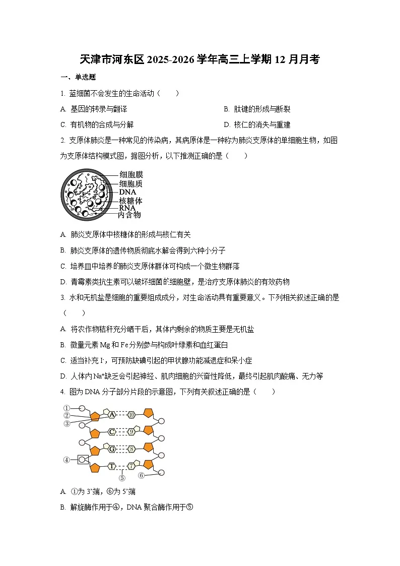 2025-2026学年天津市河东区高三上学期12月月考生物试卷(学生版)第1页