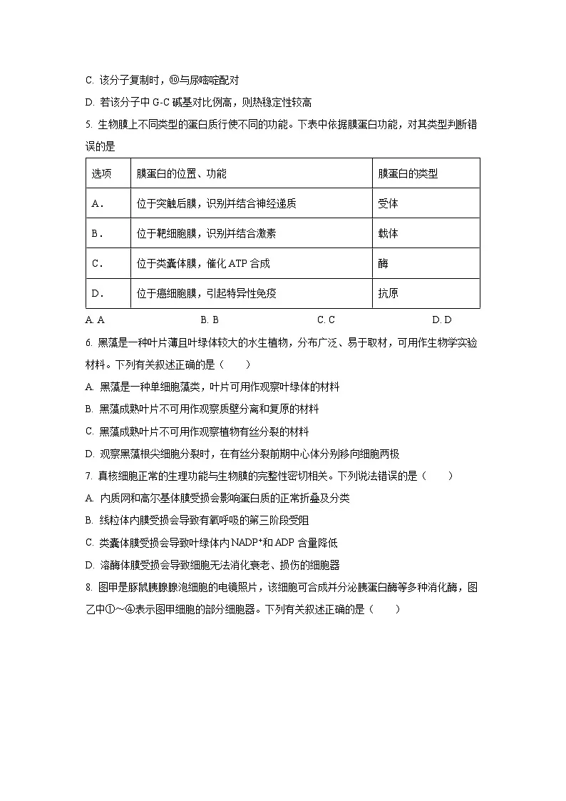 2025-2026学年天津市河东区高三上学期12月月考生物试卷(学生版)第2页
