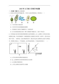 2025-2026学年湖南省岳阳市岳阳县第一中学高三上学期12月月考生物试题（有答案）