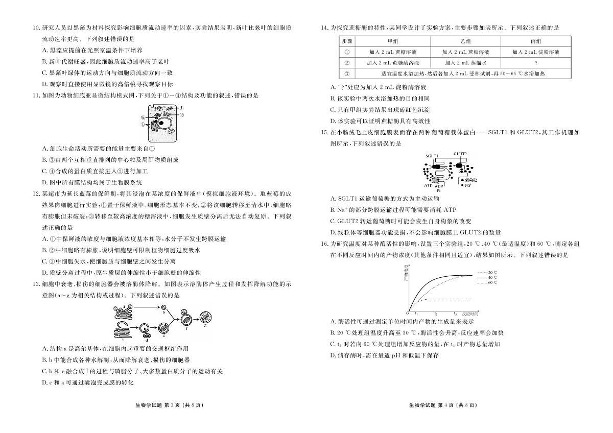 衡水金卷2025-2026学年度高一年级上学期12月份联考生物试卷(含答案)第2页