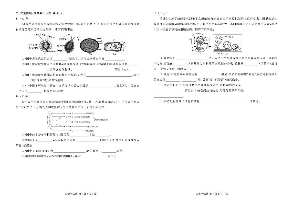 衡水金卷2025-2026学年度高一年级上学期12月份联考生物试卷(含答案)第3页
