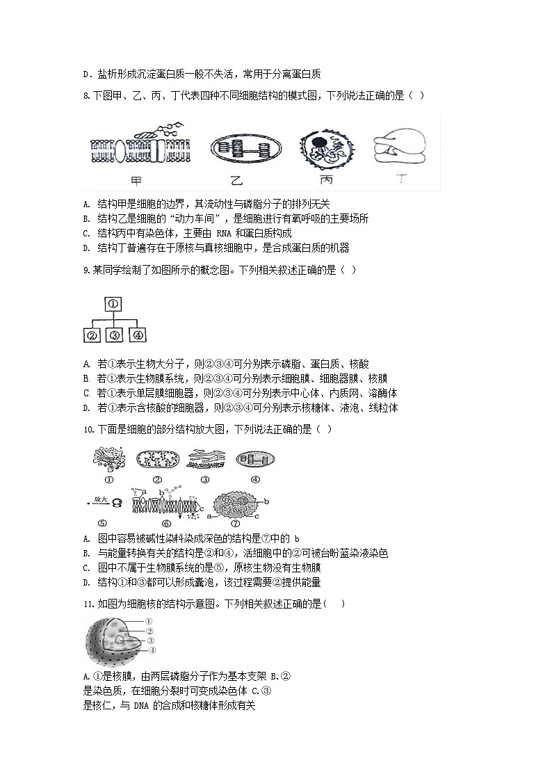 四川省仁寿第一中学校(北校区)2025-2026学年高一上学期12月月考生物试题第2页