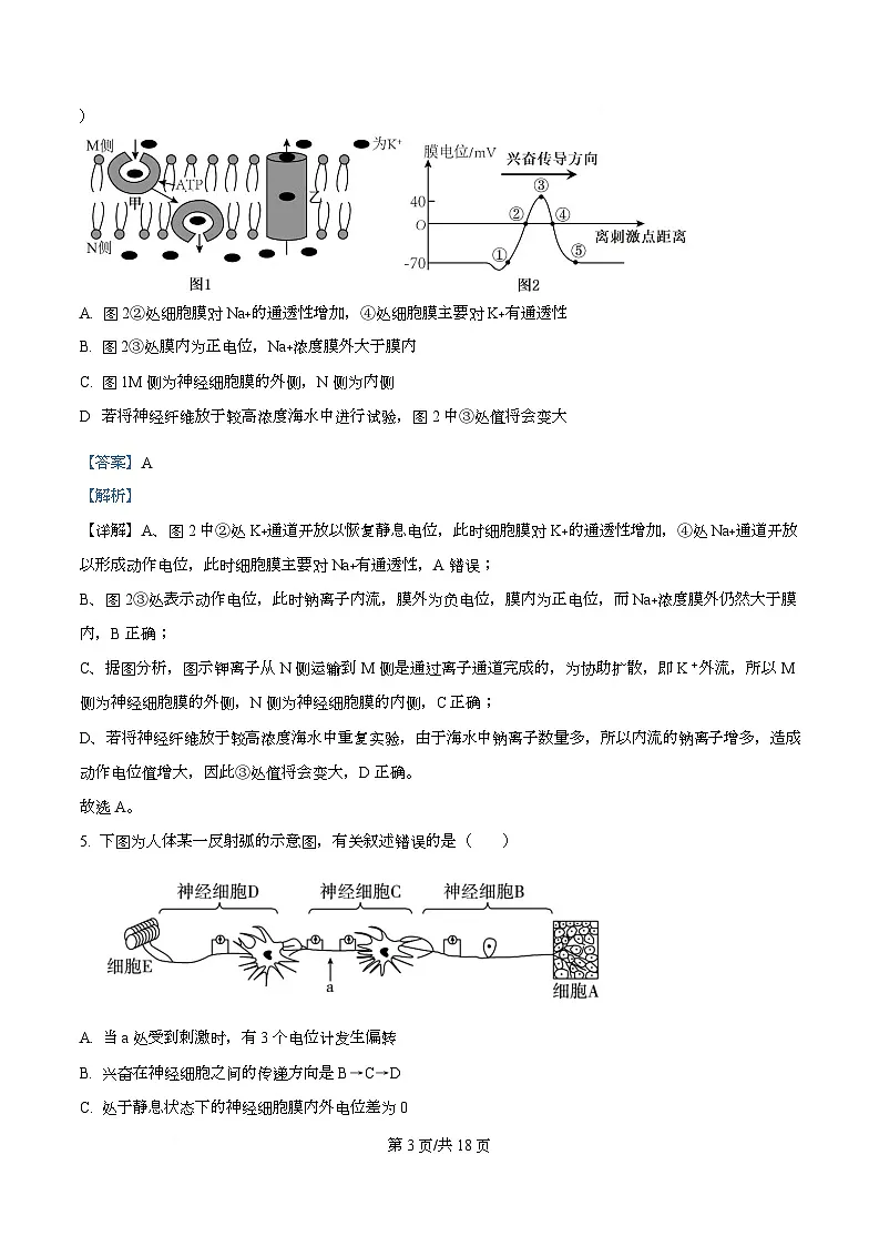 重庆市复旦中学教共体2025-2026学年高二上学期12月定时作业生物试题 Word版含解析第3页