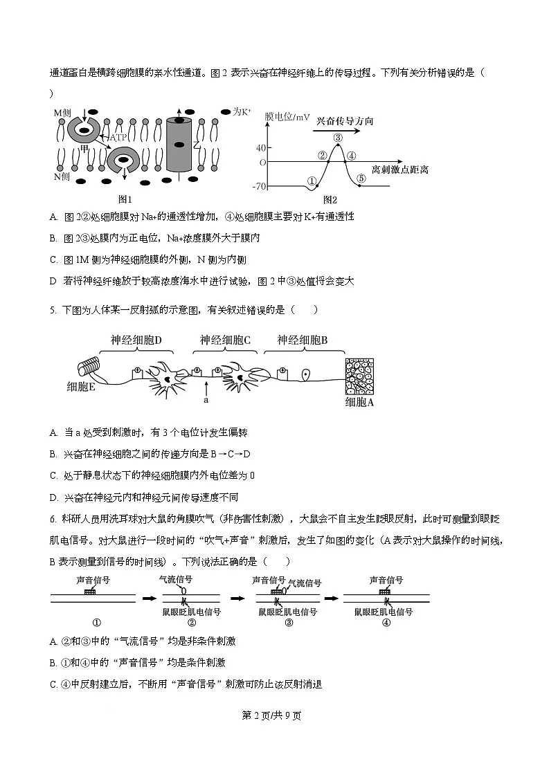 重庆市复旦中学教共体2025-2026学年高二上学期12月定时作业生物试题 Word版无答案第2页
