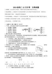 四川省眉山市仁寿县第一中学校南校区2025-2026学年高二上学期12月月考生物试题（含答案）含答案解析