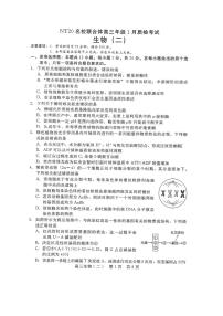 2025-2026学年NT20,名校高三上学期1月生物试题及答案